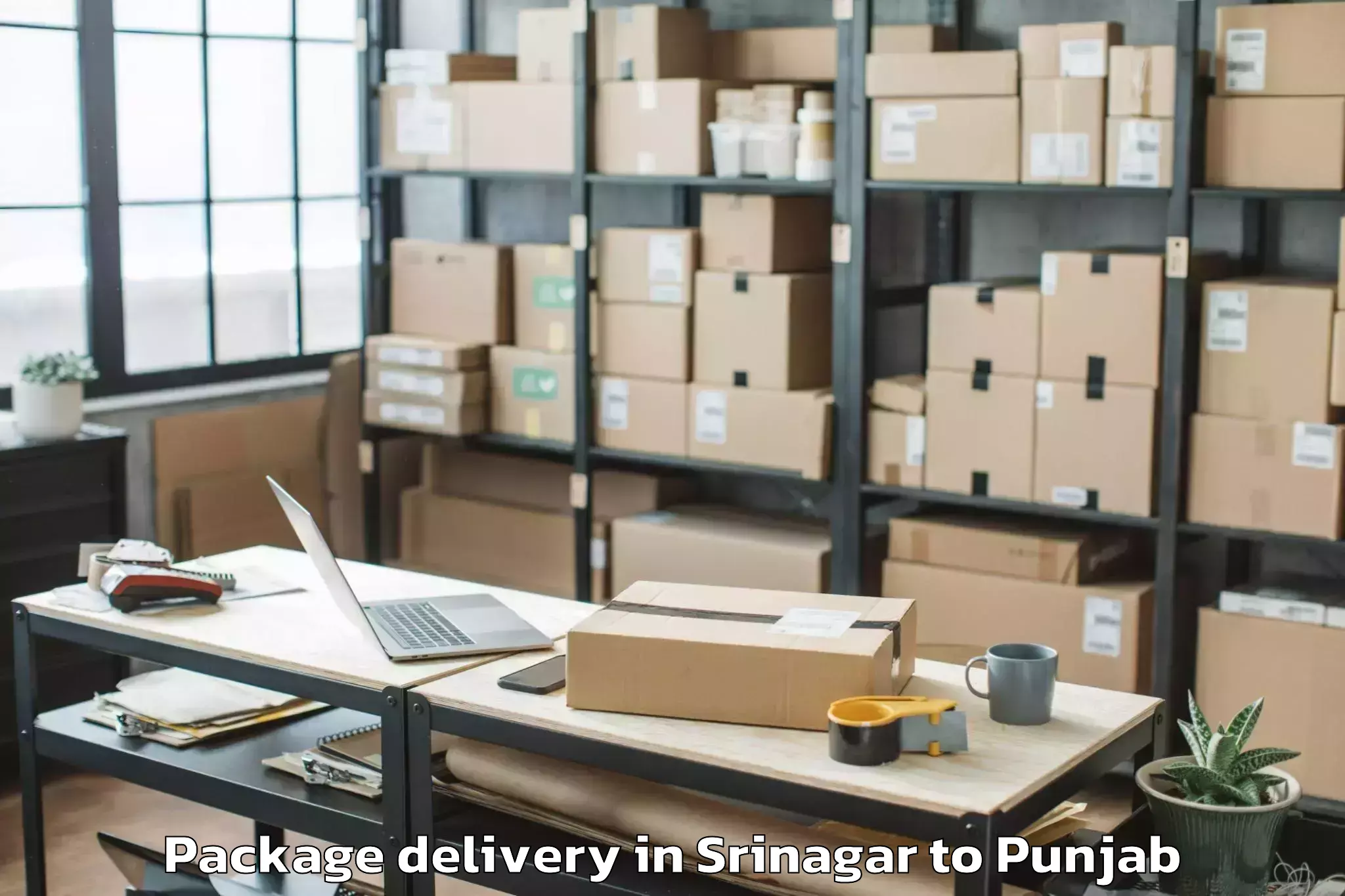 Trusted Srinagar to Nangal Package Delivery